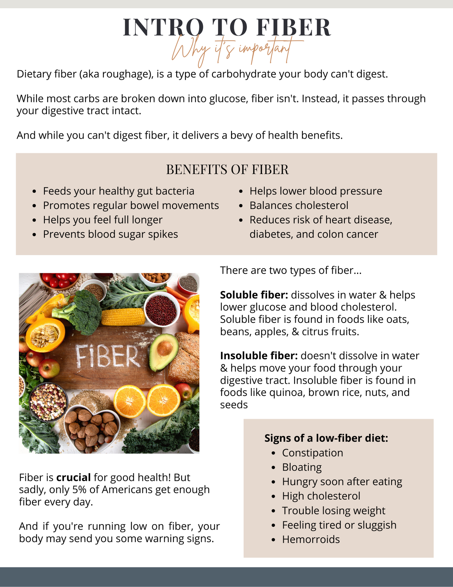 Fiber Guide